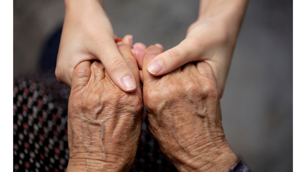 logo altavida senior (6)